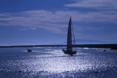 DSC_0830 (Large).JPG